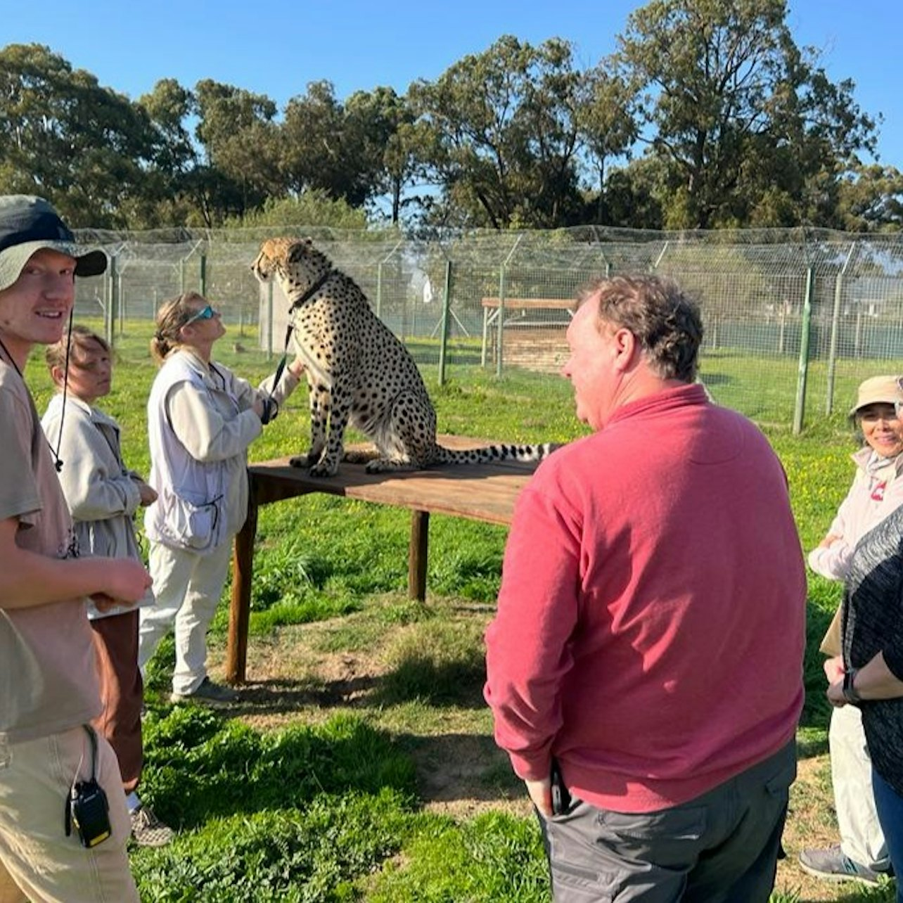 Cape Winelands Wine Tour & Cheetah Outreach Visit - Photo 1 of 23